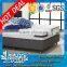 single bed tight top pocket spring novaform mattress