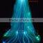 Remote Control Light Up Fairy Wings