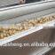 High efficient Automatic commercial vegetable washer/Superior Automatic commercial vegetable washer