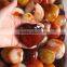 natural polished agate jasper stone hearts home decorations gifts
