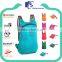 wellpromotion polyester folded bagpack