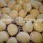 Supply IQF Frozen Potato Ball with best price