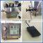Professional Manufacturer: SF Type Magnetic Pump Filling Machine