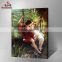 Hot sale Wall art picture DIY oil painting by numbers oil painting on canvas 2016