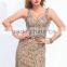 Latest arrival vintage evening dress princess party evening dress short prom dress