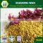 Wholesale mixed and pure fresh sunflower pollen from China