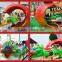 Electrical Worm Design Track Train for Adult and Kids Apple Bug Roller Coaster Amusement Rides