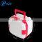 Portable mini refrigerator for car semiconductor technology principle