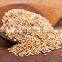 Natural White Sesame Seeds suppliers