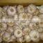 various Egyptian Garlic...DRY GARLIC...RED WHITE GARLIC