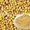 GMP Manufacturer Supply Soybean Extract Soy Isoflavone