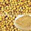 GMP Manufacturer Supply Soybean Germ Extract