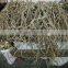 GMP Certified Factory Supply Natural Kava Extract with Top Quality