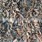 sunflower seeds kernel confectionery grade&bakery grade