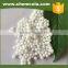 Organic Fertilizer Nitrogen urea sales in China