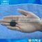 washable or waterproof rfid ntag203 laundry tag