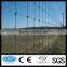 Low carbon steel wire horse wire mesh fence (ISO certification)