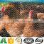 Chicken wire per meter stainless stell chicken wire fencing panels
