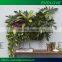 Living Green Wall with Automatic Irrigation System