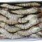 HL002 Frozen Seafood Best Frozen Shrimp Brands With Cheap Price