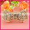 fashion new shoe clip shoes accessories for women shoe WSC-222