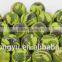 camo golf printed ball / yurg creative golf gift ball/various colors golfballs