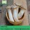 DRIED KING OYSTER MUSHROOM