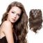 Grade 8A 12 Inch Indian Curly Best Selling Human Hair Chocolate Durable Healthy