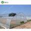 Hot Sale Commercial Polycarbonale Small Single Span Greenhouse