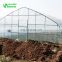 2019 Easily Assembled Plastic Film Tube Tunnel Greenhouse
