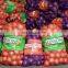 PP 50*80 cm 33 gram Mesh Onion Bags Net Vegetable loading capacity 25 kg