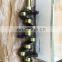 2TR Crankshaft 13401-75040  Crankshaft for HILUX HIACE 2TR