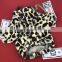 luxury pet dog overcoat Dog cat Leopard grain coat fashion Branded clothes extravagant