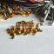 BCI researcher used multicolor coated gold eeg electrodes