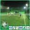 The good stright and friendly to skin synthetic grass for soccer