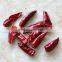 sweet paprika powder SWEET CHILI POWDER,10 years chilli and paprika factory