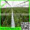 Supply 2016 100% virgin LDPE 200 micron greenhouse poly film greenhouse cover film for tomato