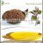 Top Quality 100% Natural Purple Perilla Seed Oil from China