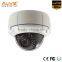 IP Camera for Outdoor support P2P and PoE Full HD 1080P