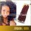 Janet 2X Bounce Twist Crochet Braids Afro Twist Braid Spring Twist Hair Extension