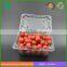China wholesale disposable cherry tomatoes packaging box with lid