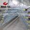 BAIYI H & A Type Layer Metal Quail Cage With Automatic Driking System For Sale