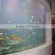 pmma/plexiglass sheet/colorful cast acrylic sheet