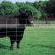 Anping Xiangming Best Price and High Quality Field Fence