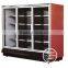 Shentop 2014 Commercial Supermarket Vertical Refrigerated Counter With Door Display Cabinet Freezer Showcase STLFG-GA