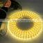 high voltage led strip light kit SMD 5050 IP65 waterproof strip light