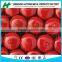 COLOR PAINT COATED ROOFING NAILS WITH UMBRELLA HEAD WASHER