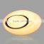 Cartoon Ceiling Lights Eco-Smart Ceiling Light
