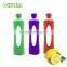 High-grade Borosilicate Glass Water Bottle With BPA Free Silicone Sleeve and PP Handle