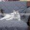 Quilted Pet Sofa Cover with Nonslip Backing